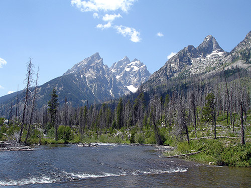 Mountain-Scenic.jpg